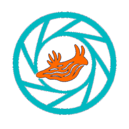 Nudibranchs icon