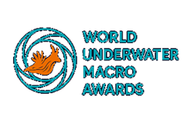 World Underwater Macro Awards 2026